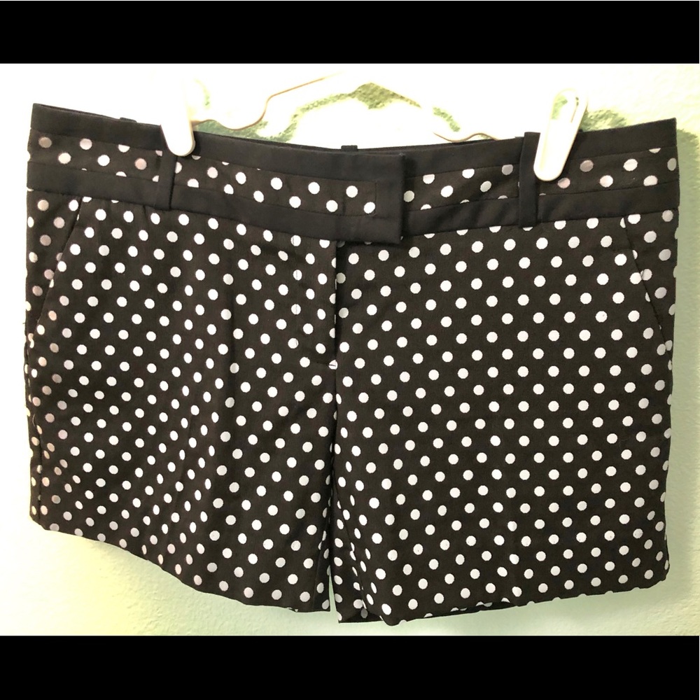 The Limited Navy & White Shorts